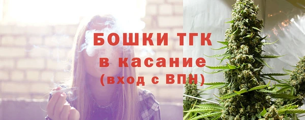 крисы Бугульма