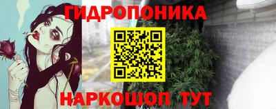 прущие крисы Жуковский