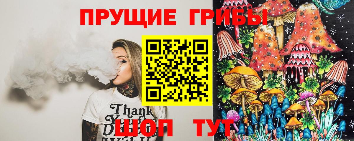 Можайск  Псилоцибиновые грибы Psilocybe  Вход с VPN 